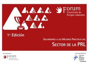 Galardón a las mejores prácticas del sector PRL