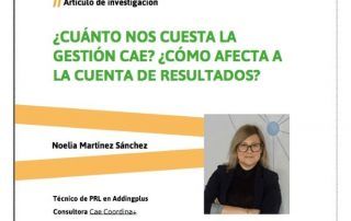 Inicio del artículo de investigación de Noelia Martínez consultora Addingplus para revista prevencionistas