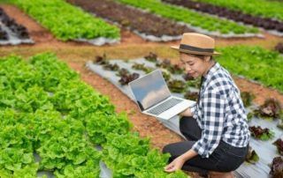 Seguridad alimentaria