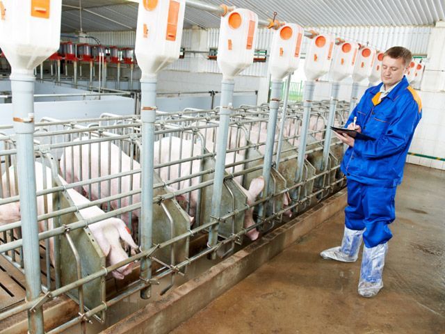 Trazabilidad en la industria alimentaria